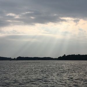 Meet your Posher, Savannah